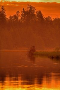 sunrise at pine river provincial fishing area