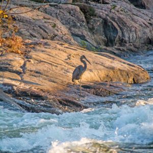 burleigh falls ontario canada